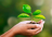 Dica: Como ajudar na preservação do meio ambiente